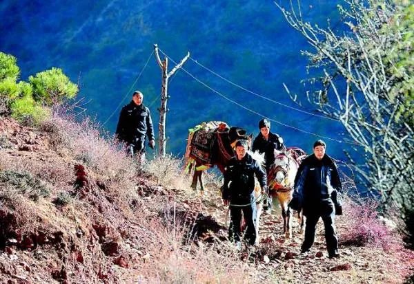 雪天骑马撞人逃逸，我国交通法允许在公路上骑马吗？