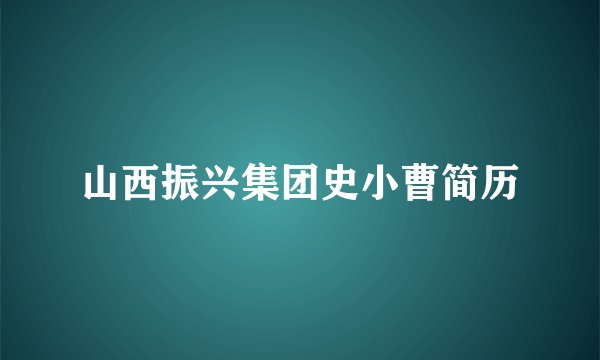 山西振兴集团史小曹简历