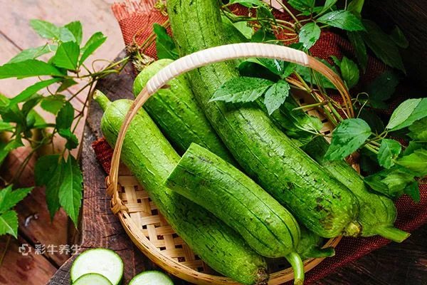 丝瓜的营养价值