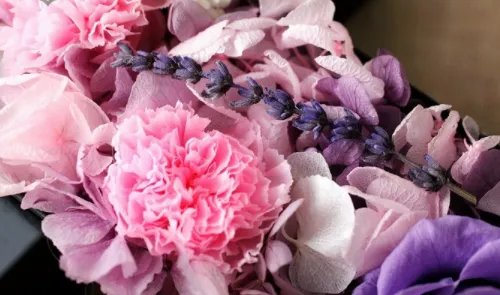 粉色满天星花语和寓意有哪些 粉色满天星适合送什么人