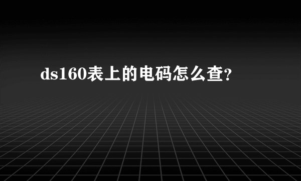 ds160表上的电码怎么查？