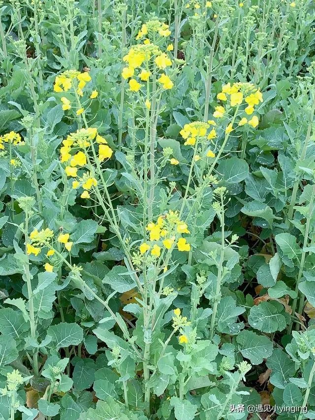 武汉现在疫情怎么样？