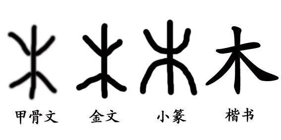 木字旁的字有哪些？