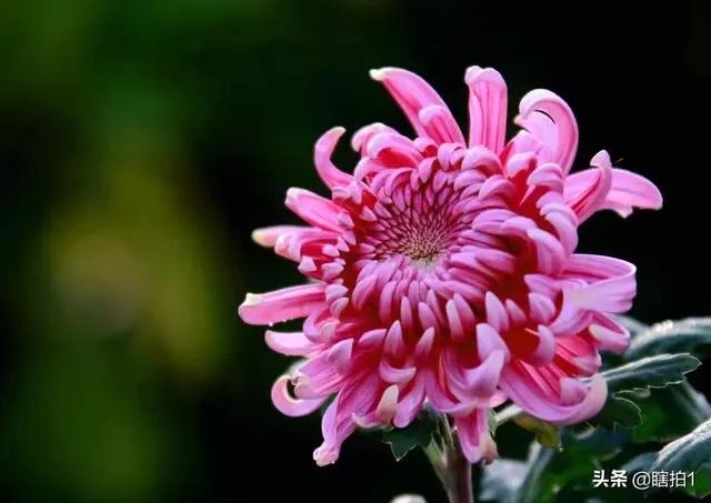 武警警官学院怎么样？