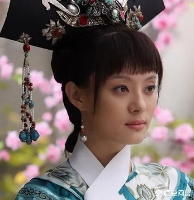 如何评价《甄嬛传》？