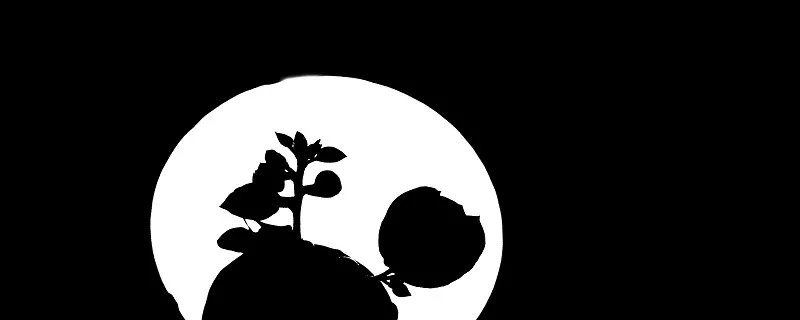 黑玫瑰的花语是什么