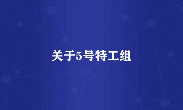 关于5号特工组