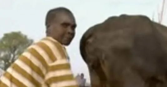 男子对牛屁股吹气 下秒奇迹发生了（图）