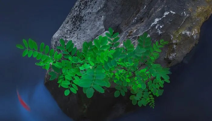 公元元年是哪一年 公元元年是公元一年吗