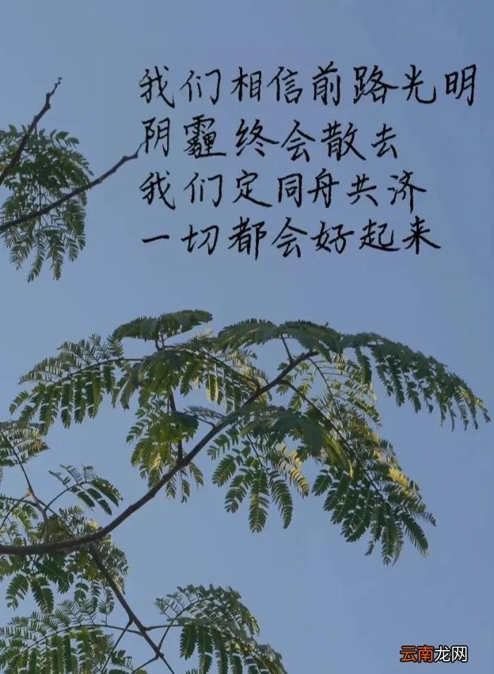 疫情当下那些暖心语录 希望疫情结束的暖心话