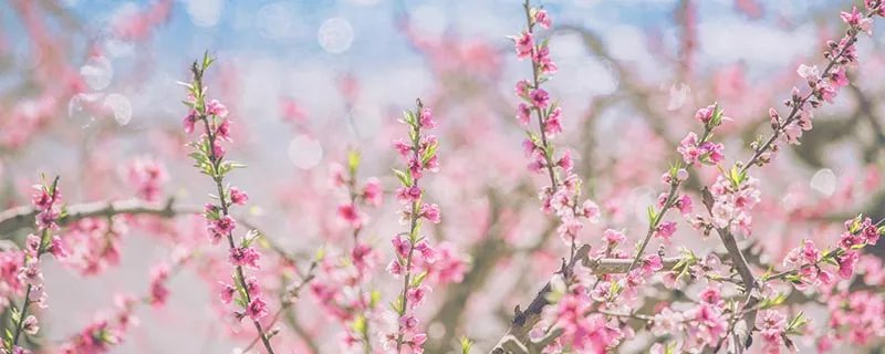 桃花潭在哪里 桃花潭的位置