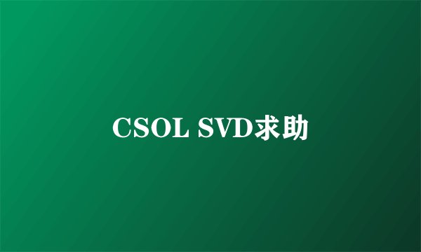 CSOL SVD求助