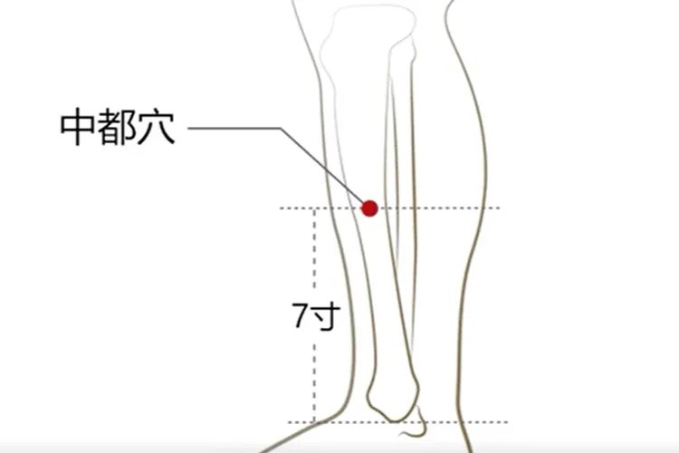 中都的准确位置图和作用
