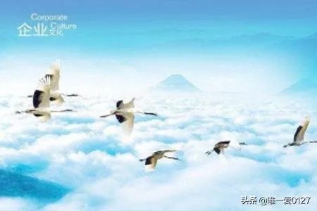 公司起名大全如何取名字?