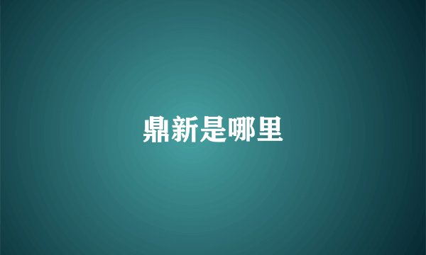 鼎新是哪里