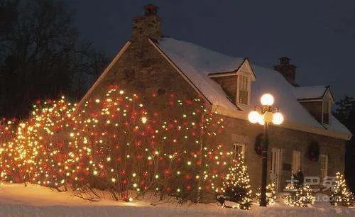 狂欢夜是几月几日