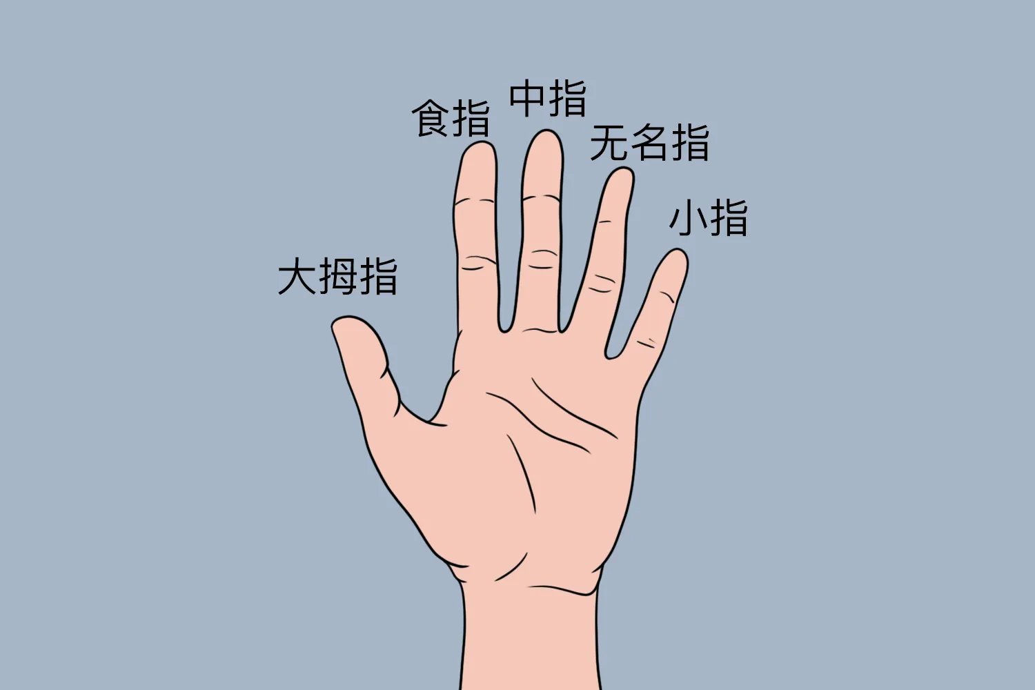 无名指是哪个手指图片