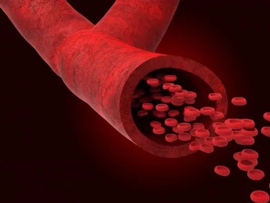 平均血红蛋白量高怎么回事