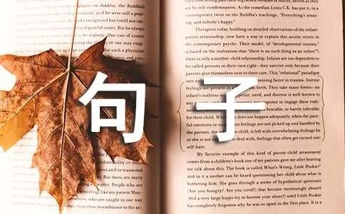 《蜡笔小新》的经典句子