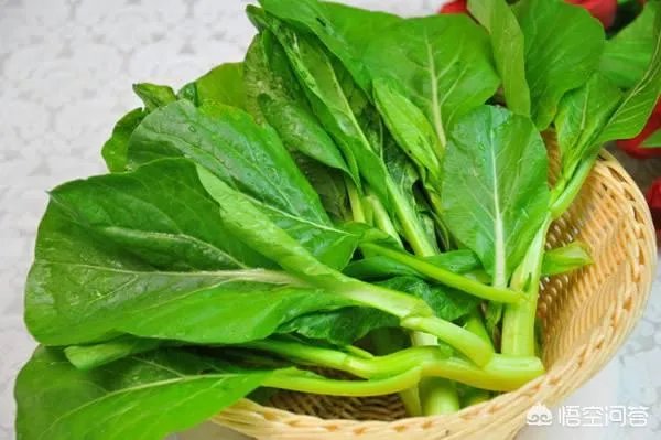 广东菜心怎么吃？