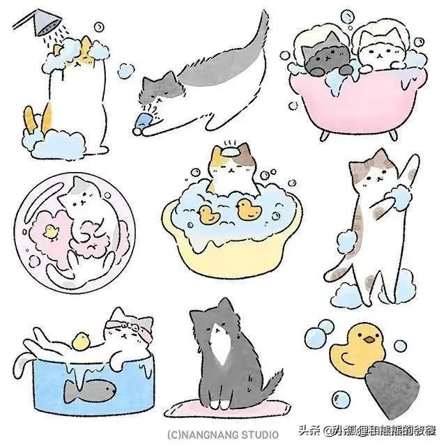 大家有没有小猫咪的图片？