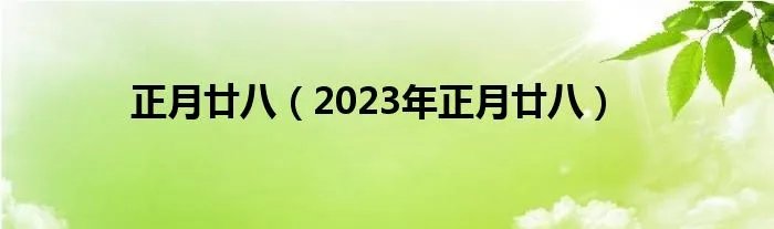 正月廿八（2023年正月廿八）