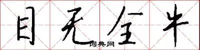 目无全牛