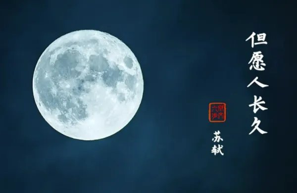 苏轼但愿人长久的全诗