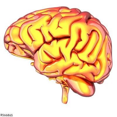 脑脓肿破裂怎么回事