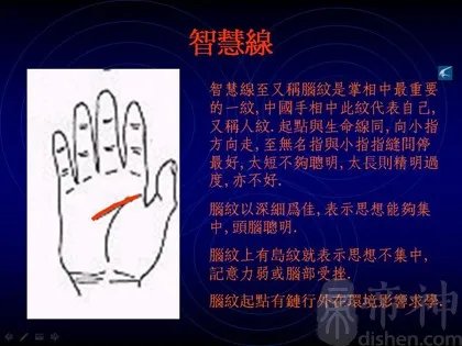 教你如何看手相？看手相算命图解大全