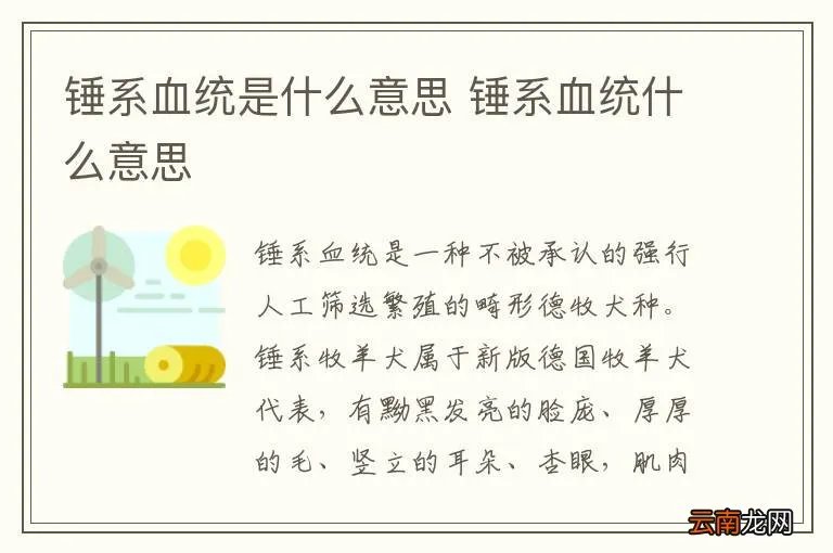 锤系血统是什么意思 锤系血统什么意思