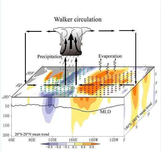 沃克环流的影响