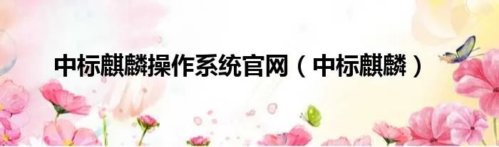 中标麒麟操作系统官网（中标麒麟）