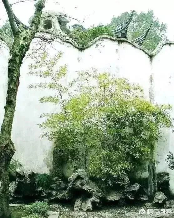 娄底2018年的房价多少？你怎么看？