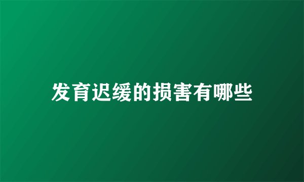 发育迟缓的损害有哪些