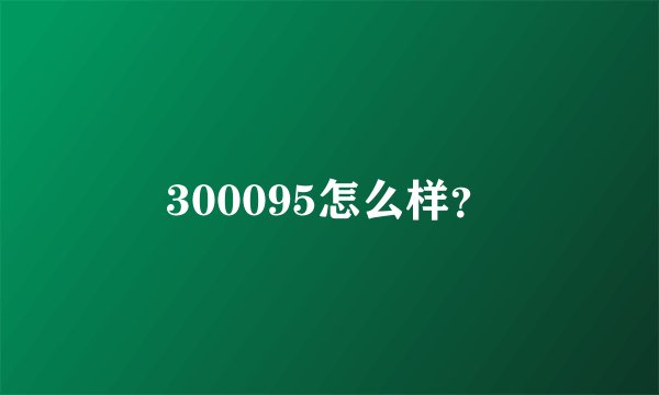 300095怎么样？