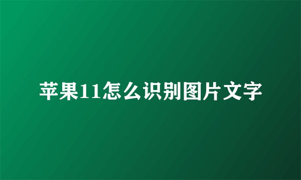苹果11怎么识别图片文字