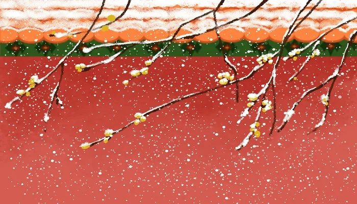 冬天开什么花 冬天开什么花有哪些