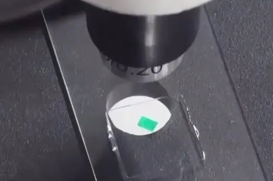 显微镜的使用方法