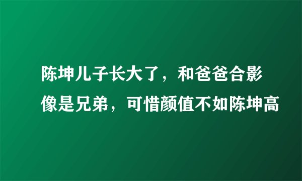 陈坤儿子长大了，和爸爸合影像是兄弟，可惜颜值不如陈坤高