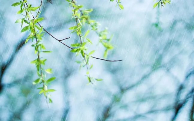 关于心情的句子2020 适合各种心情的句子2020