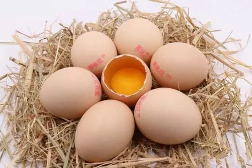 湖北荆州有哪些特产_可以送人的湖北荆州特产