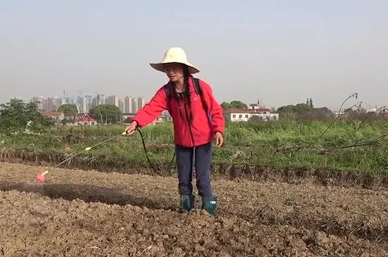 农事活动有哪些