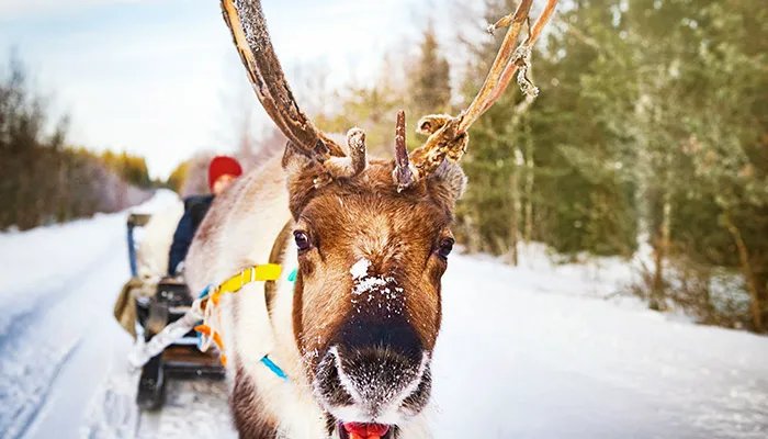 千湖之国是哪个国家 千湖之国表示哪个国家