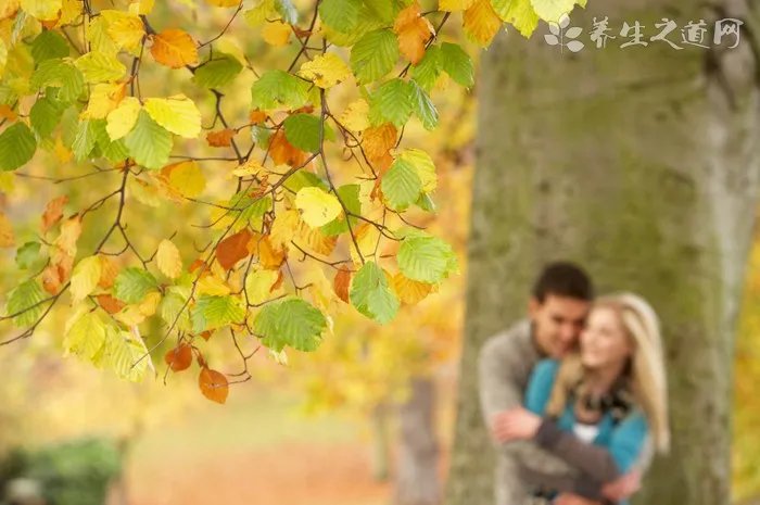 桃花源记被删除的一段另一个版本 千万不能唤醒前世记忆