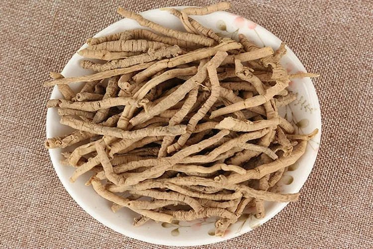 远志图片大全高清图片