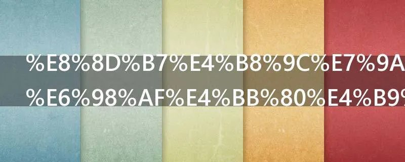 荷东的士高是什么意思