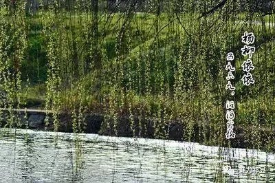 六九是什么意思？