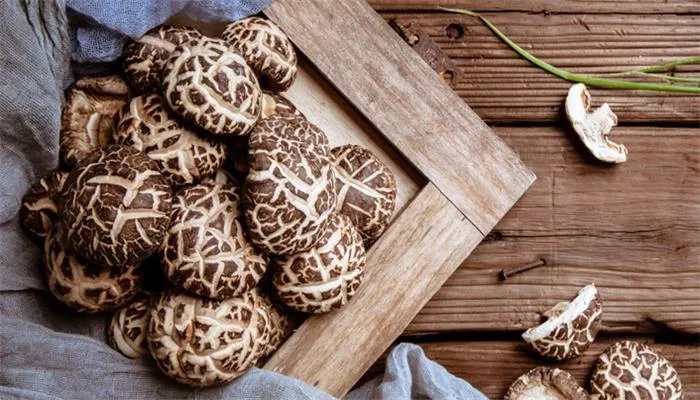 蘑菇的种类 蘑菇的种类有哪些