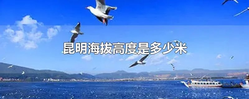 昆明海拔高度是多少米